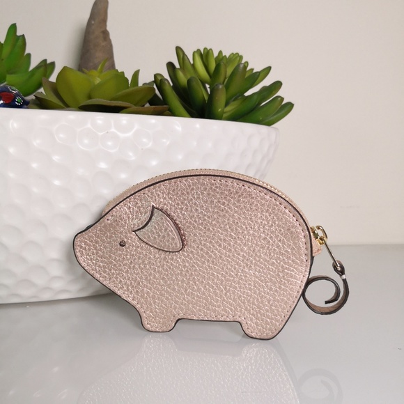 pig coin case coach